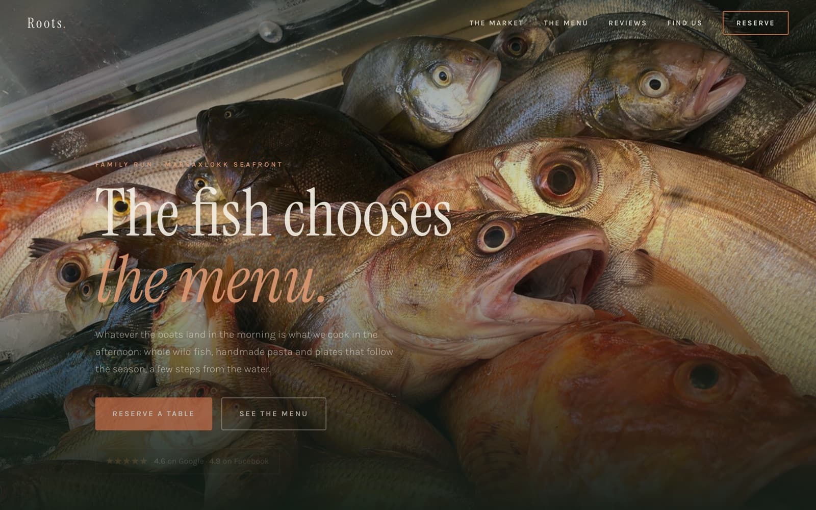 Roots concept website by Soluxe